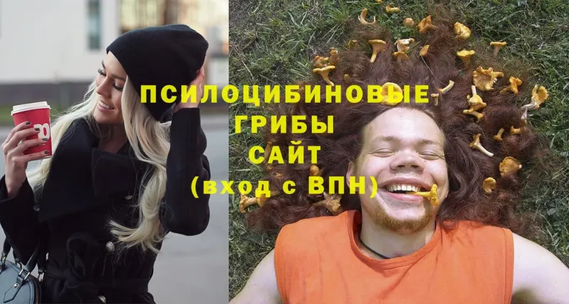 omg как войти  купить  цена  Верхняя Тура  Псилоцибиновые грибы мухоморы 